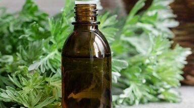 O uso de madeira de minhoca para remover parasitas do corpo