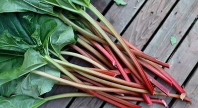 Sorrel para remover parasitas do corpo