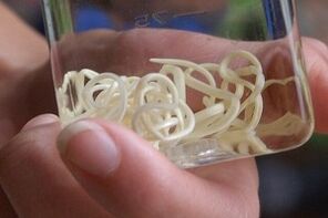 parasitas do corpo humano